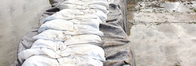 微波爐的滅菌效果到底如何 ?電器做除菌性能測試，用什么測試設備 