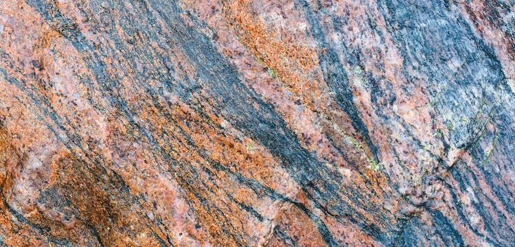 2022年廣東省最新林業碳匯申報要求匯總：方法學、申報模板、材料清單