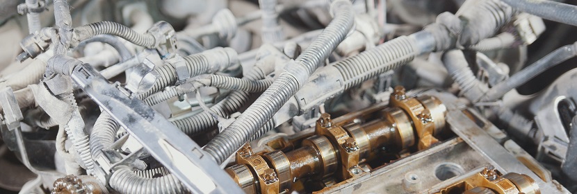 生物相容性檢測機構：生物相容性評價方法介紹