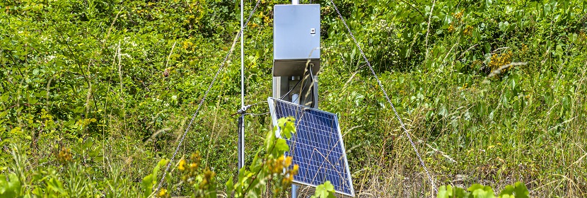 城市供水及飲用水中微生物如何快速檢測(cè) 這幾個(gè)單位的對(duì)比給出答案!?微生物高分文章必備分析LEfSe?健明迪