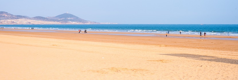 近岸海域專題監測