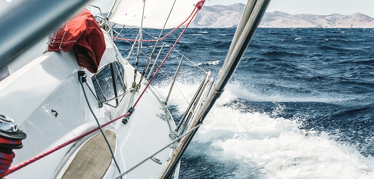 乳腺癌細胞4T1綠色熒光記小鼠模型