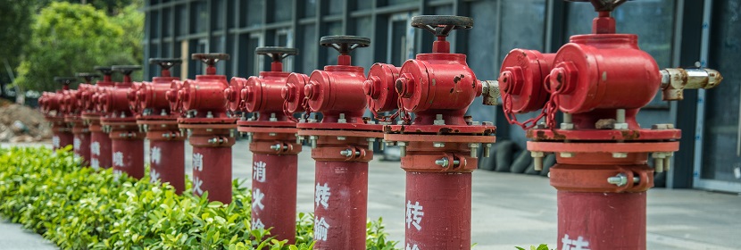 乳腺癌細胞4TO7熒光素酶標(biāo)記小鼠模型