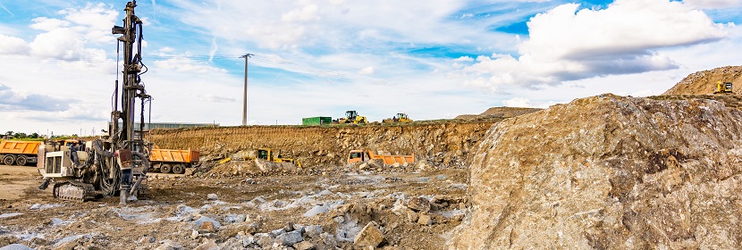 蒜氨酸檢測(cè)