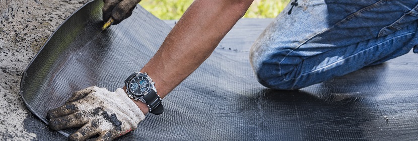 鐵過載小鼠的活動(dòng)性結(jié)核病模型