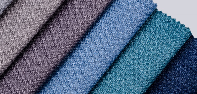 檸檬酸桿菌灌胃誘導結腸炎小鼠模型