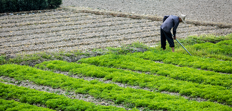 汞及其化合物檢測(cè)