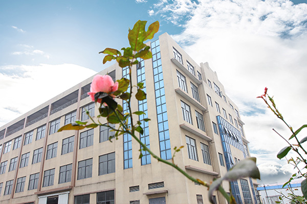 三氯化鉍檢測(cè)