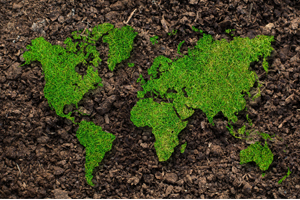 增強(qiáng)劑檢測