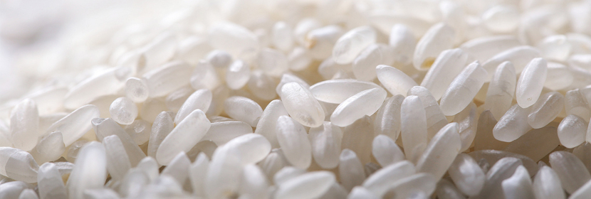 大米成分檢測,大米檢測機構,大米檢測中心