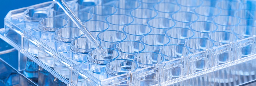 對(duì)甲苯磺酸甲酯檢測(cè)