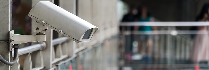 蓖麻油酸鋅檢測