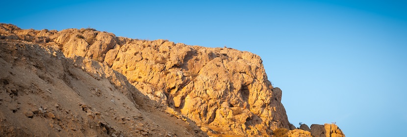 金屬釤檢測(cè)