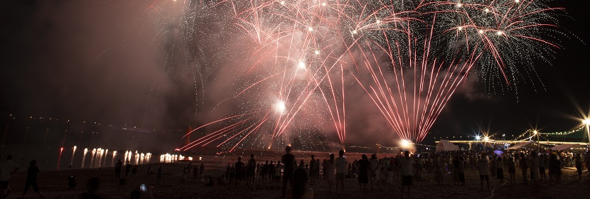 煙花爆竹產(chǎn)品-九大類、煙花爆竹藥劑檢測