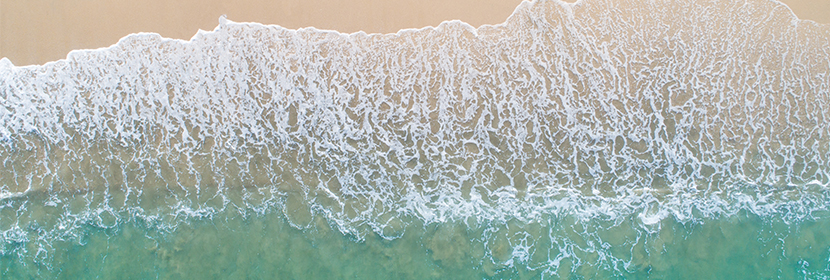 養(yǎng)殖魚(yú)檢測(cè)