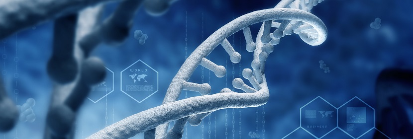 細(xì)胞染色體畸變試驗