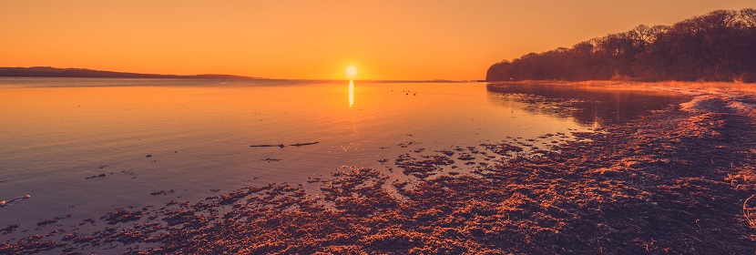 動(dòng)物檢測(cè)服務(wù)