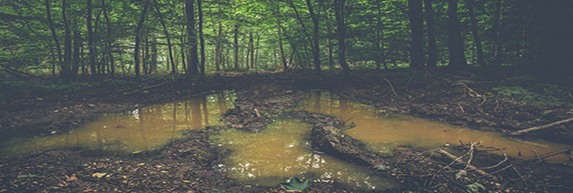 動(dòng)力粘度系數(shù)檢測