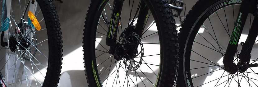 空腸彎曲桿菌檢測