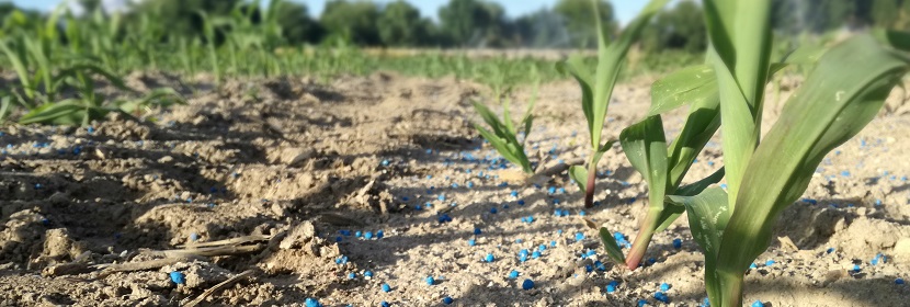 無機(jī)包裹型復(fù)混肥料檢測