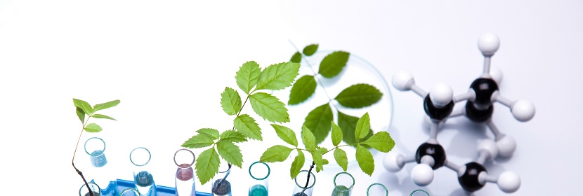 腐植酸復(fù)合肥料檢測