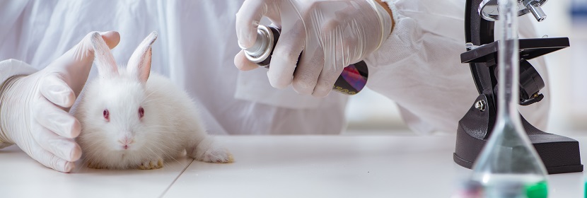 毒理學(xué)急性吸入毒性試驗