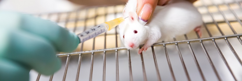 化妝品皮膚刺激性/腐蝕性試驗