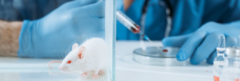 抗菌抑菌型洗滌劑陰道黏膜刺激試驗