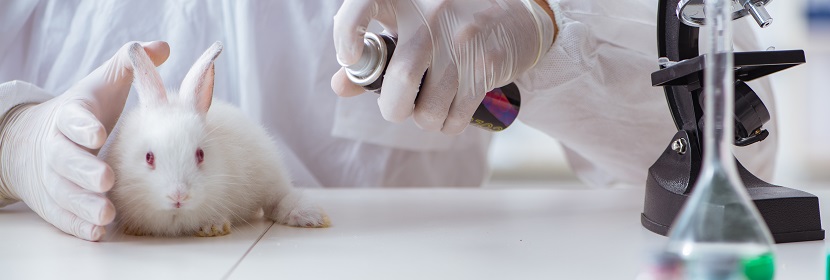 洗滌消殺產品皮膚刺激試驗