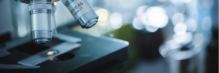 食品包裝用紙與塑料復(fù)合膜、袋檢測(cè)