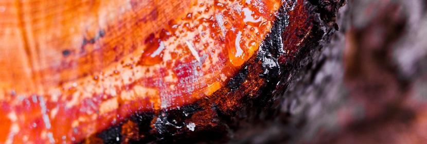 涂料用高氯化聚乙烯樹脂檢測(cè)