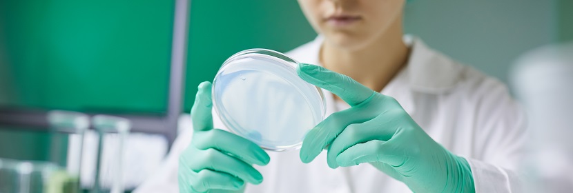 工業用亞硫酸氫銨檢測