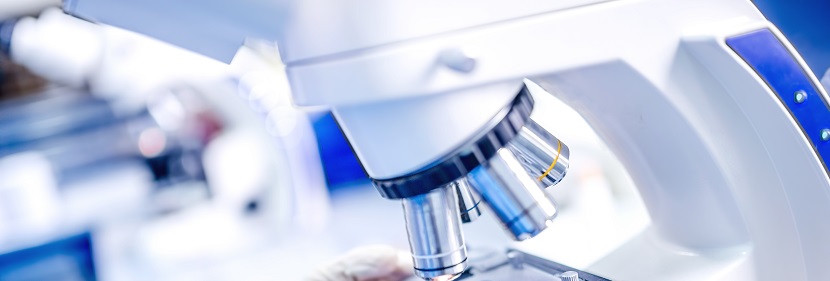 塑料玻璃纖維增強(qiáng)聚對(duì)苯二甲酰癸二胺檢測(cè)