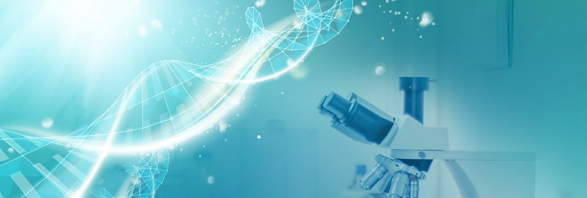 可曲撓橡膠接頭環(huán)保產(chǎn)品檢測(cè)