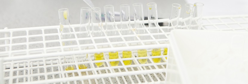 十二烷基硫酸鈉檢測(cè)