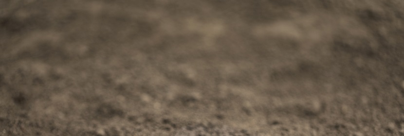 土壤及沉積物檢測